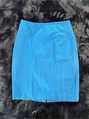 Classic Blue Pencil Skirt - Women